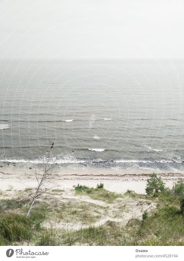 Ostseeküste Küste Strand Dünen Meer Wellen Wasser Horizont Himmel Sand Menschenleer Natur Landschaft Tag Außenaufnahme Ferien & Urlaub & Reisen Farbfoto Umwelt