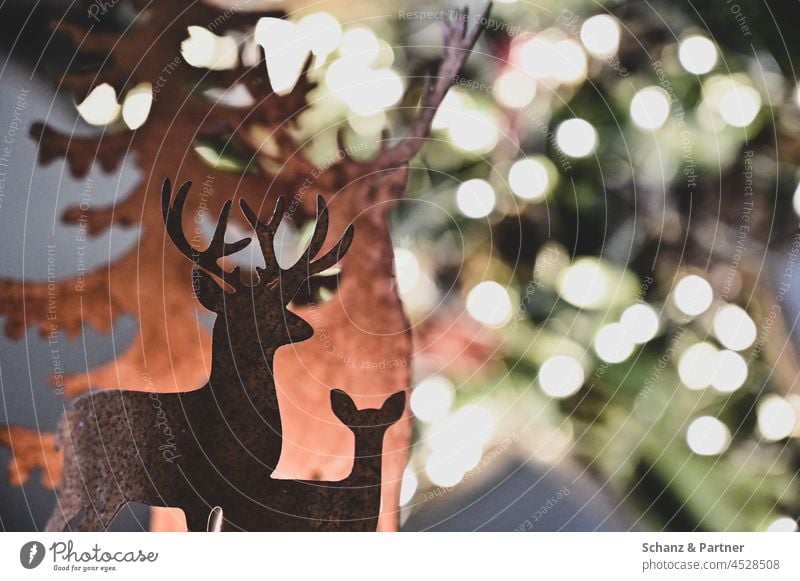 Weihnachtsdekoration mit Hirsch Weihnachten schmücken Dekoration Rehbock Hirschkuh Weihnachtsschmuck Weihnachtsbaum Feiertage Weihnachten & Advent