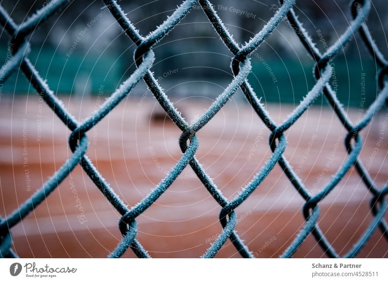 Zaun vor Tennisplatz mit Frost Winter Raureif Maschendrahtzaun Sportplatz Kälte kalt winterlich gefroren Eis frieren Eiskristall