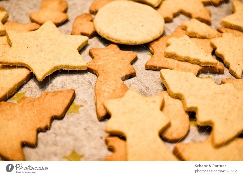 Weihnachtsplätzchen ohne Verzierung Plätzchen Weihnachtsgebäck Plätzchen ausstechen backen süß zusammen Plätzchenteig Weihnachten Feiertage Kindheit