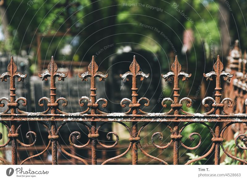 ein alter Zaun auf einem Friedhof Farbfoto Herbst Berlin Mitte Berlin-Mitte Stadtzentrum Hauptstadt Architektur Menschenleer Großstadt Außenaufnahme Deutschland