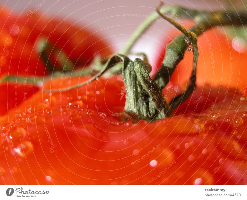 tomate Gesundheit Tomate