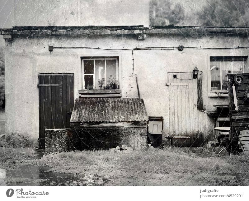 Groß Mohrdorf Gebäude Tür Fenster Schuppen Gartenhaus anbau Wellblech Eigenbau alt Fassade Wand Hütte Dorf Vergangenheit Haus einfach Pfütze grau trist