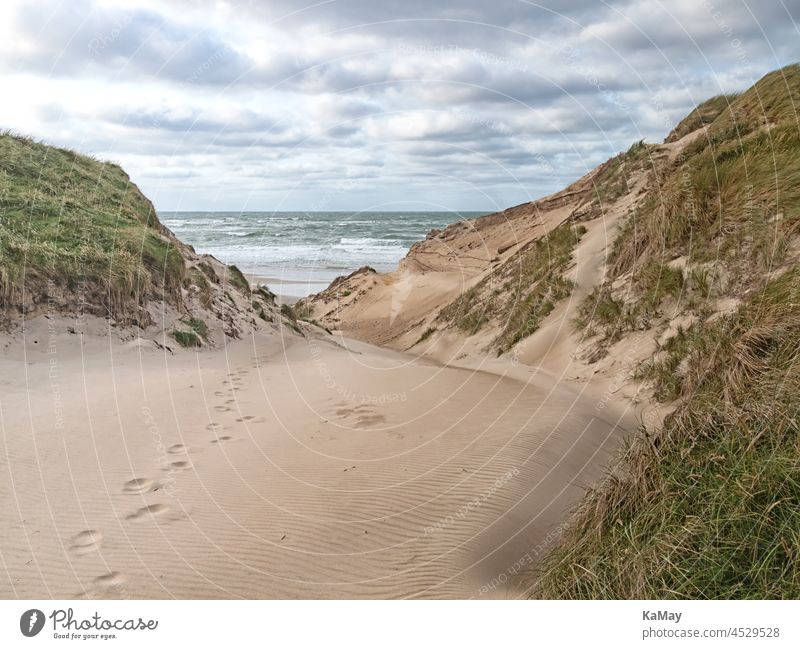 Strandzugang in den Dünen an der dänischen Nordseeküste in Jütland bei Nørre Vorupør Meer Landschaft Sand Urlaub Ferien Reisen Reiseziel Küste Weg bewölkt Ozean