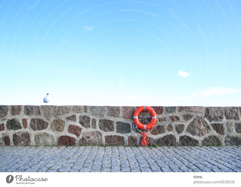 Chefvisite • Möwe auf einer Steinmauer mit Rettungsring und Himmel steine mole rettungsring möwe weg himmel wolke sicherheit schutz maritim steinmauer