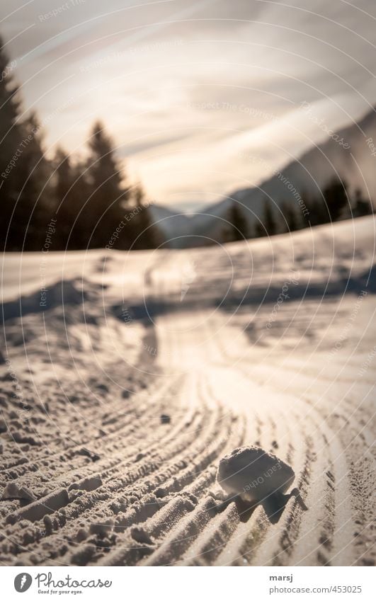 Sb auf Www Ferne Freiheit Winter Schnee Winterurlaub Berge u. Gebirge wandern Natur Landschaft Himmel Schönes Wetter Eis Frost Wald Hügel Schneelandschaft