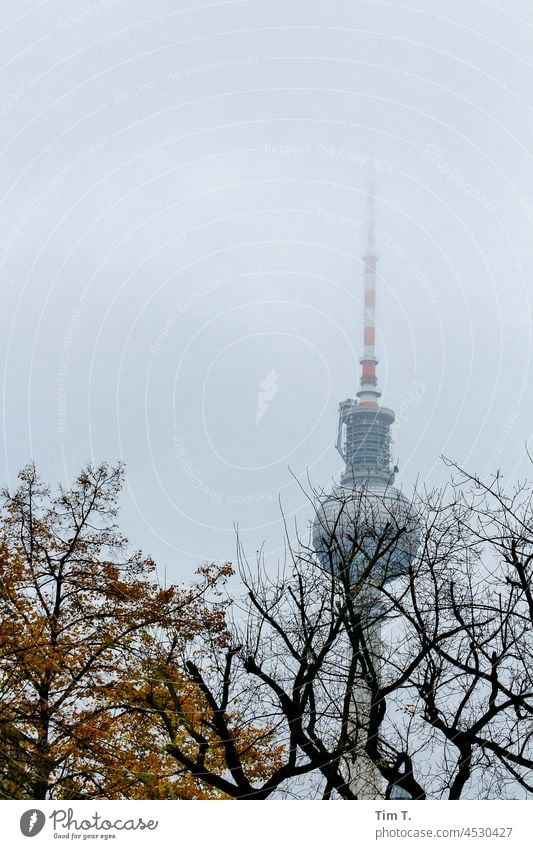 der Fernsehturm hinter Herbstbäumen Berlin Farbfoto Baum Mitte Berlin-Mitte Berliner Fernsehturm Wahrzeichen Turm Hauptstadt Sehenswürdigkeit Himmel Architektur