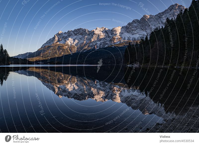 Spiegelbild am Bergsee Eibsee Bayern garmisch partenkirchen Berge Wettersteingebirge Alpen Zugspitze Skiort Spiegelung Grainau Erholung Urlaub still Ruhe