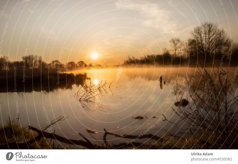 Mystischer Sonnenaufgang im Teufelsmoor harmonisch Freiheit Umwelt Erholung Stimmung Licht ruhig Unschärfe Textfreiraum oben Himmel Menschenleer