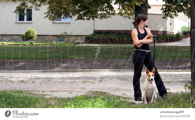 Sonntagsspaziergang Dorf Hund Freundschaft Gras Haus Wachsamkeit Baum Verkehr Straße abweisent Seil schwarze sachen