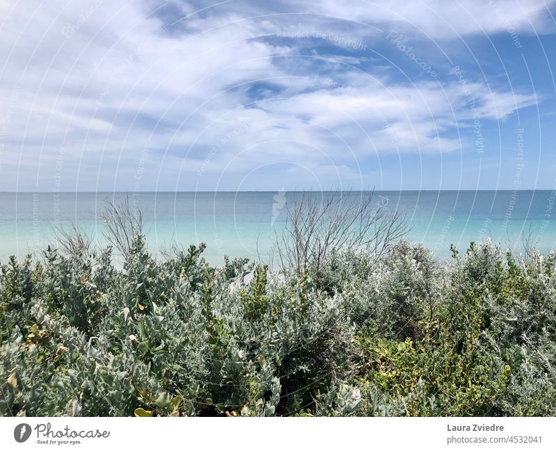 Horizont, Indischer Ozean Meer Freiheit Dunes Urlaub Urlaubsstimmung Urlaubsort Ferien & Urlaub & Reisen Natur Strand Sommer Wolken Erholung Flucht Landschaft