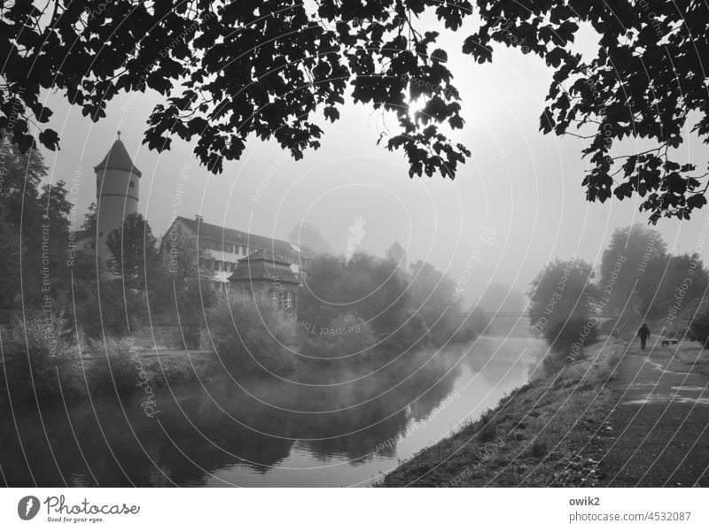 Morgenmystik Wertheim Baden-Württemberg Kleinstadt historisch Uferweg Wasser friedlich Blätterdach mystisch draußen verwunschen Weite Textfreiraum oben