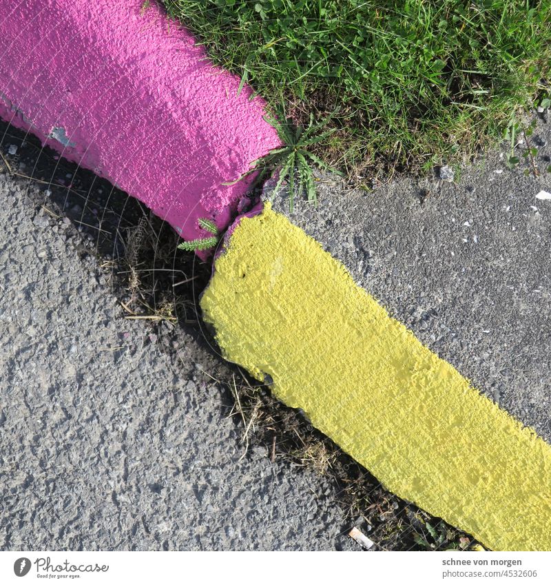 Das Problem mit der Ecke Straße Gras Rasen Wege & Pfade Linie Park Garten Fußball Außenaufnahme Wiese Menschenleer Sport Farbfoto Fußweg Schatten Tag Natur