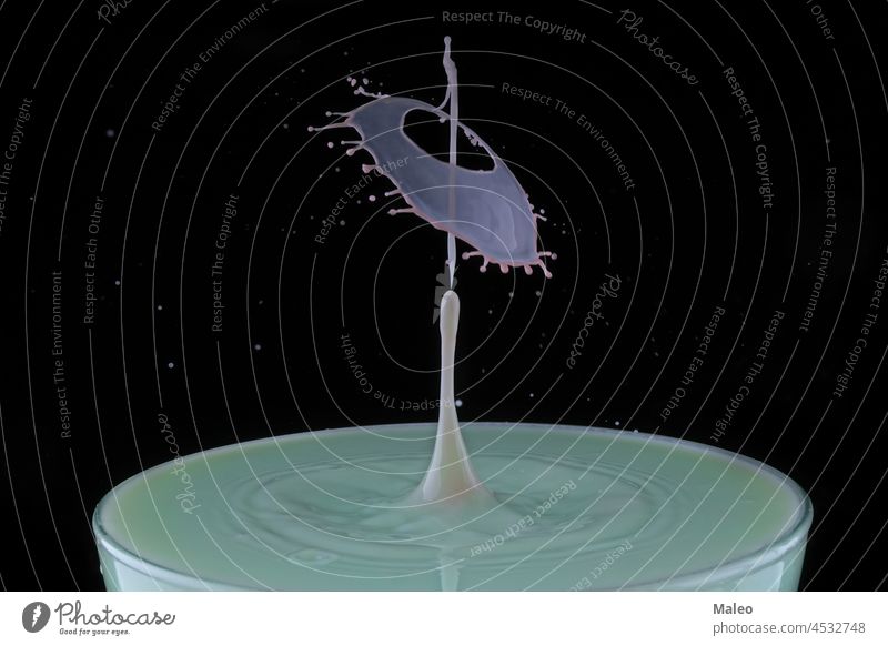 Ein Tropfen Milch fällt in eine Tasse melken platschen trinken Hintergrund weiß Bewegung frisch abstrakt fließend fallend Sahne vereinzelt liquide Geplätscher