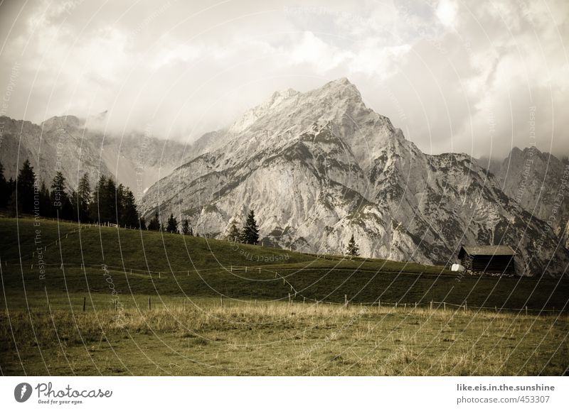 postkartengrüße aus tirol: 1€ harmonisch Wohlgefühl Zufriedenheit Erholung ruhig Ferien & Urlaub & Reisen Sommerurlaub Berge u. Gebirge wandern Traumhaus Umwelt