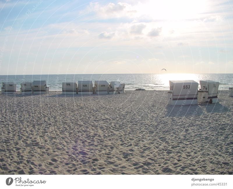 Sylter Strand Strandkorb Sonnenuntergang Meer Vogel