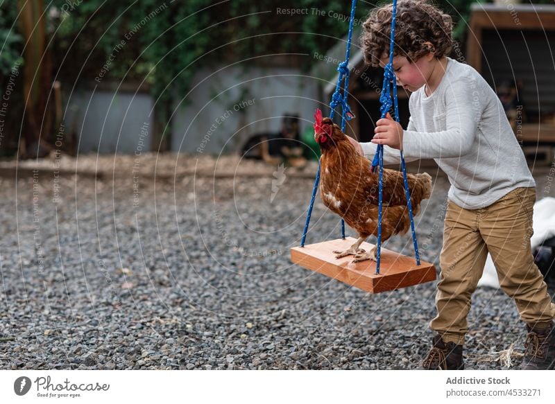 Junge schwingt Huhn im Garten auf dem Lande Kind Hähnchen pendeln Vogel Ackerbau spielen Bauernhof Federvieh Dorf ländlich Landschaft unschuldig wenig