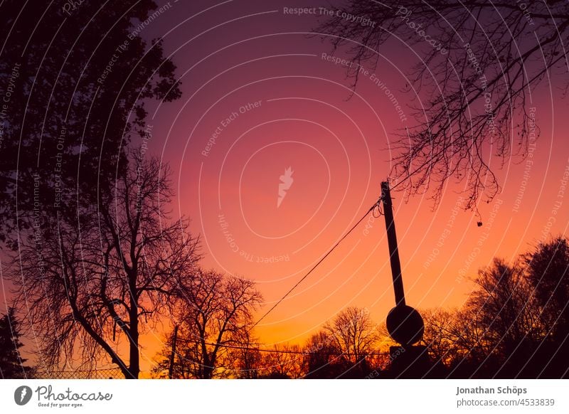 Abendhimmel im Spätherbst Bäume Silhouette violett knallig farbig bunt rot orange lila Farbverlauf abend Dämmerung Wald Mast Himmel Sonnenuntergang Natur