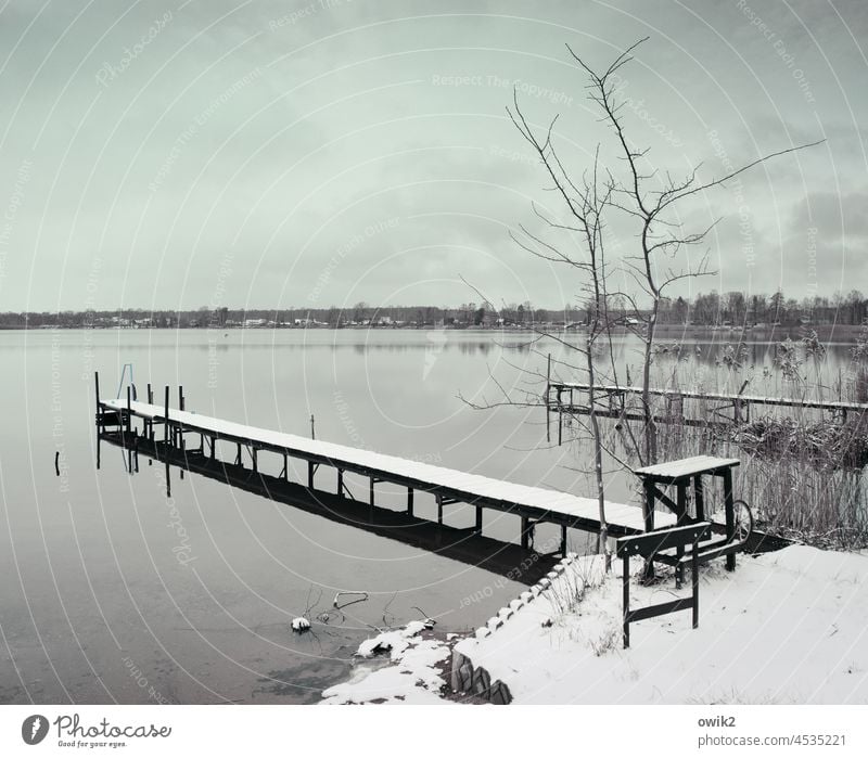 Lange Bank Seeufer Bäume Bootssteg Steg Geländer Schutz festhalten Himmel Wald Windstille Wasser Idylle Horizont Reflexion & Spiegelung Wolken geheimnisvoll