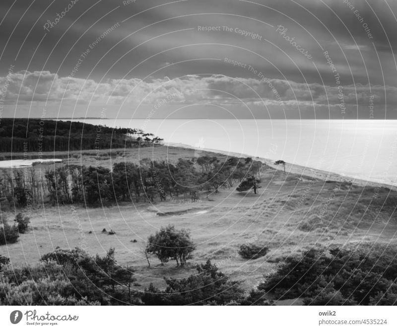 Weststrand Landschaft Natur Ostsee Ostseestrand Ferne Licht Schatten Tag Idylle dramatisch Horizont Wetter Wind Windflüchter Baum Umwelt Meer leuchten