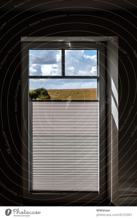 Aus einem dunklen Raum blickt man durch das Fenster in eine helle Landschaft mit Schafen und Wolken Licht Schatten dunkel Ausblick Nordsee Damm Deich Küste