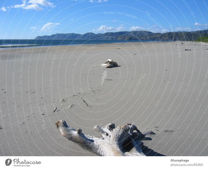 gestrandet Freitag Strand Meer Ödland Einsamkeit Ferien & Urlaub & Reisen Frieden abgelegen ruhig Costa Rica Wellen Wolken Erholung Aussicht Karibisches Meer