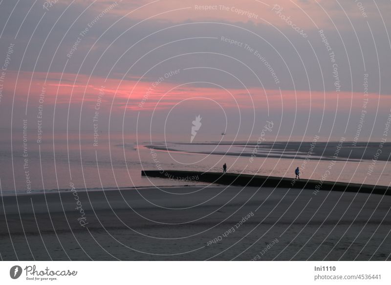 Die Sonne ist unter gegangen Urlaub Insel Borkum Meer Buhne Strand Tagesausklang rosa Wolken blau grau Himmel Naturschauspiel Zauber blaue Stunde