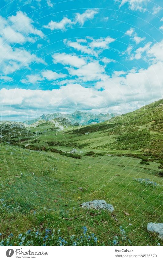 Bunte Landschaft der Berge von Asturien während eines sonnigen Tages, Covadonga Seen, friedliche Szenario, verschneite Berge, Kopie Raum Gipfel Wiese Lagune