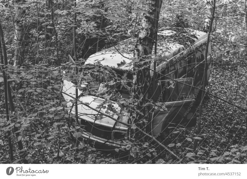 Blick von oben auf ein gegen einen Baum gefahrenes Auto Brandenburg s/w Schwarzweißfoto b/w Außenaufnahme b&w ruhig Tag Menschenleer Wald Unfall Crash