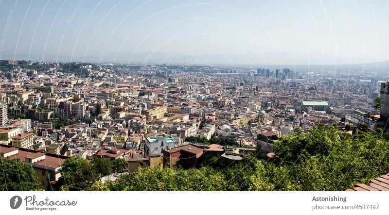 Blick auf Neapel, Italien Urlaub Reise Stadt Aussicht grün Himmel Horizont Weite groß Baum Altstadt Ferien & Urlaub & Reisen Außenaufnahme Sommer Haus Farbfoto