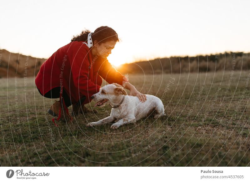 Frau und Hund bei Sonnenuntergang Haustier Zusammensein Zusammengehörigkeitsgefühl Glück Besitzer jung Liebe Lifestyle Freunde im Freien Fröhlichkeit Spaß Tier