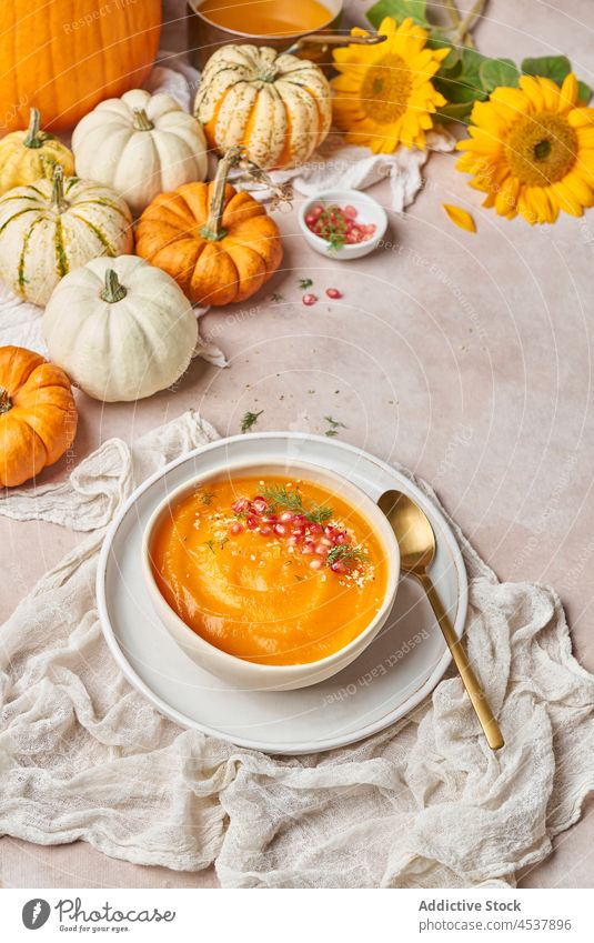 Kürbissuppe bei Sonnenblumen in der Küche Suppe Möhre Gemüse gesunde Ernährung Speise Granatapfel Lebensmittel Mahlzeit Vitamin Pflanze Samen natürlich