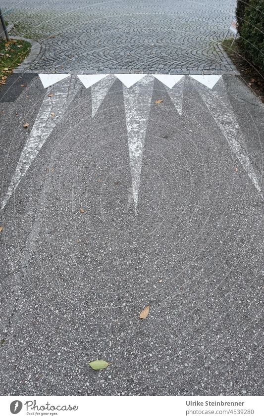 Markierung mit spitzen Zacken auf dem Asphalt begrenzt Radweg Straße Fahrbahnmarkierung Zeichen Wegweiser Spitzen Grau Weiß Hinweis Orientierung Wegzeichen