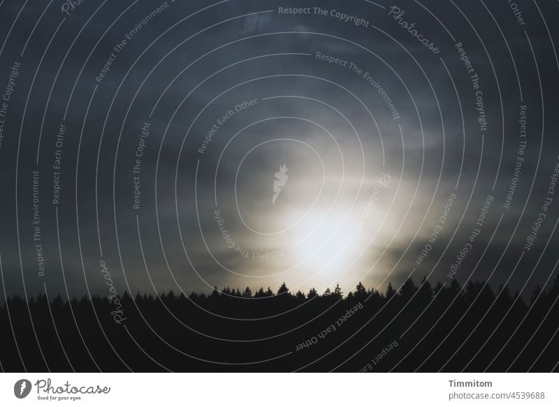 Ein nachdrücklicher Sonnenuntergang im und über dem Schwarzwald Himmel Wolken hell dunkel blau Abend Natur Dämmerung schwarz Wald Bäume Baumwipfel Sonnenlicht