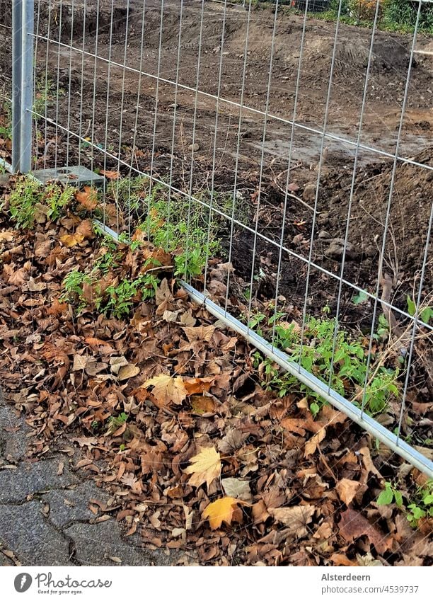 Ausschnitt einer ausgehobenen Baugrube mit Sicherungszaun und Herbstlaub Aushub Baustelle Außenaufnahme Sand Menschenleer Farbfoto Erde Steine unterhalb