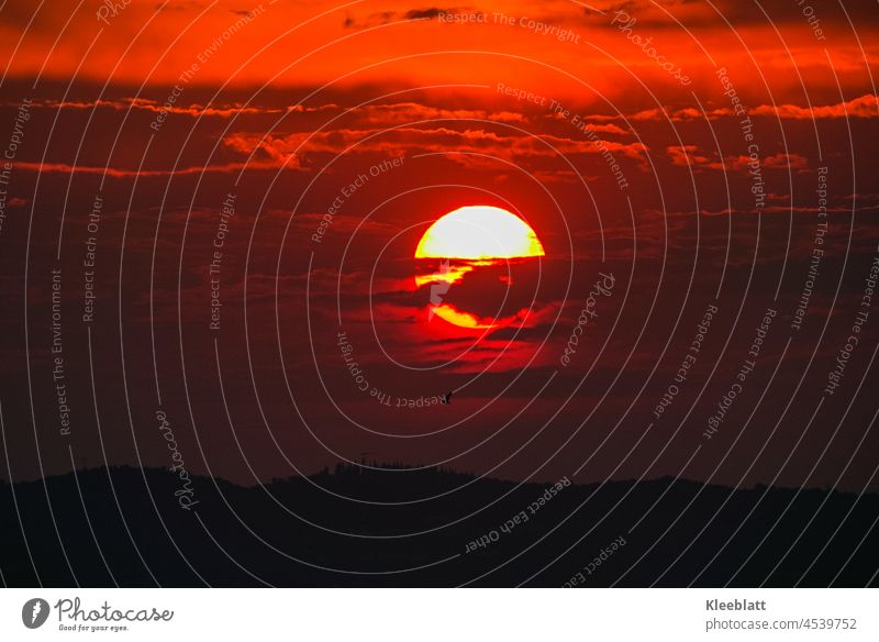 Sonnenuntergang der Extraklasse am See - Wolken ziehen vor die untergehende Sonne - natürliche Farbgebung Sonnenlicht Gegenlicht Außenaufnahme rot-schwarz