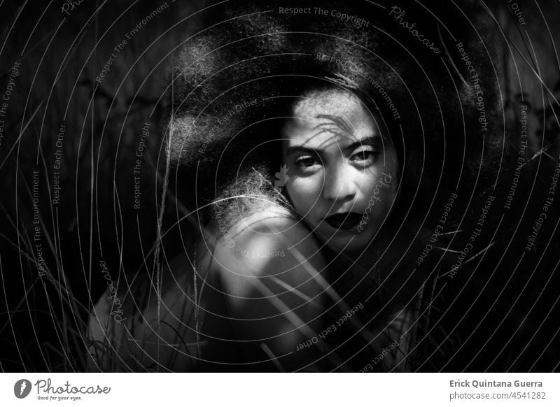 Eine Frau liegt im Gras Frauenporträt Frauenkörper Frau und Natur schwarz auf weiß Schwarz-Weiß-Fotografie Schwarz-Weiß-Portrait Vergnügen angenehm Afro-Look