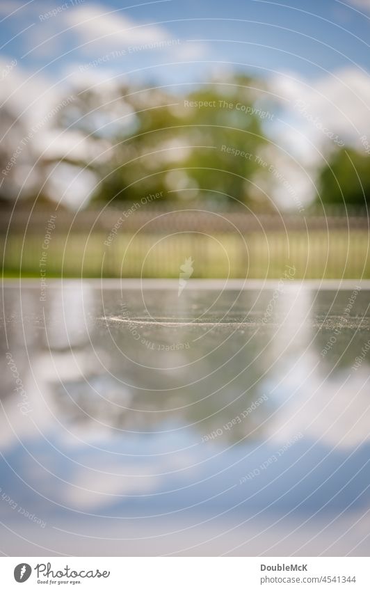 Unscharfe Landschaft spiegelt sich auf glatter Oberfläche Farbfoto Außenaufnahme Tag mehrfarbig Natur Menschenleer grün natürlich Umwelt Ruhe Idylle