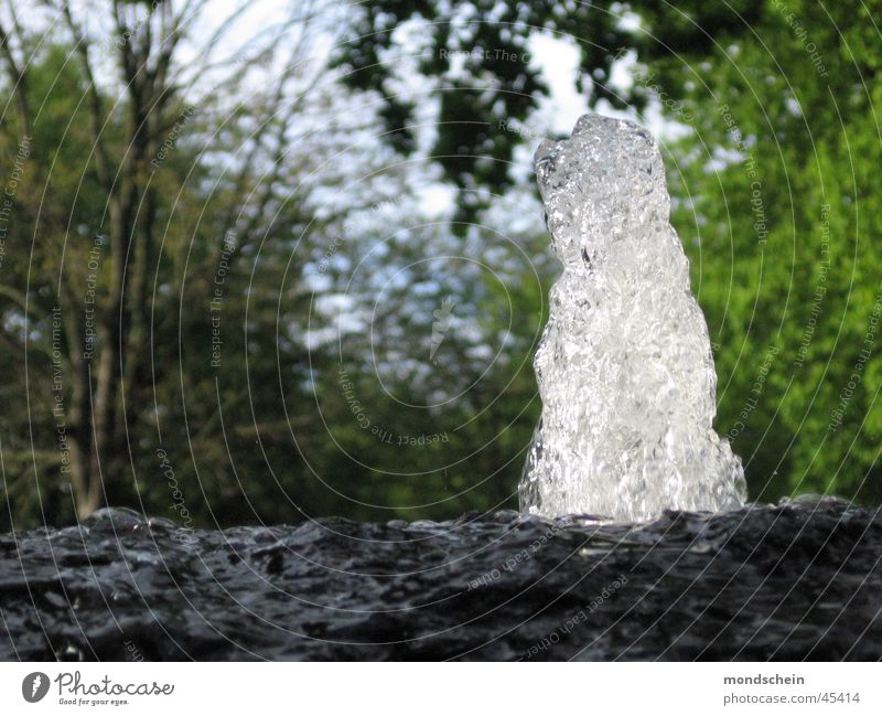 Brunnen frisch Unschärfe Bewegungsunschärfe Wasserfontäne Blatt nass Natur Landschaft frieren spritzen Stein