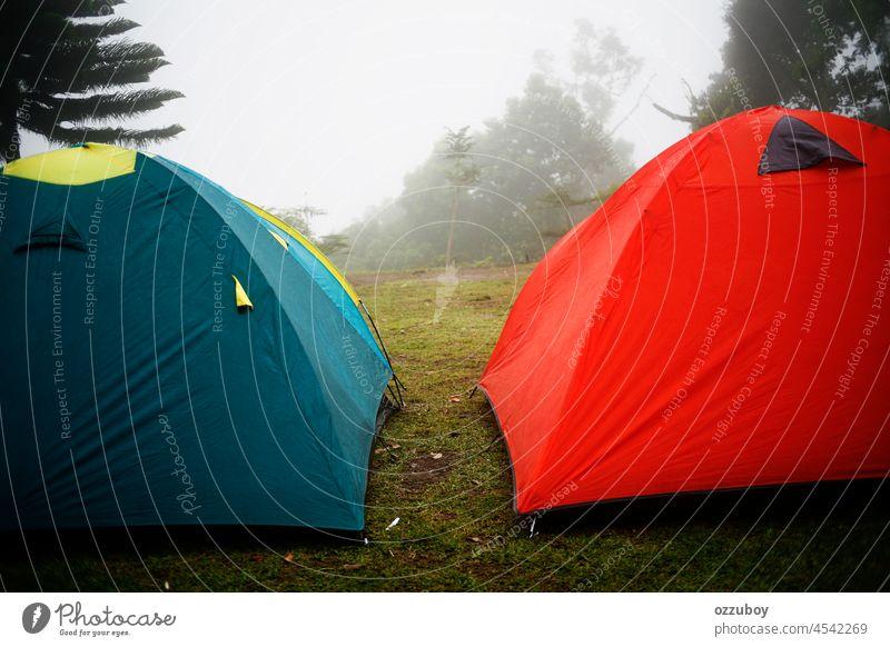 Zelt am nebligen Morgen Natur reisen im Freien Nebel Abenteuer Wald Landschaft Berge u. Gebirge Baum wandern Tourismus Lager Camping malerisch Hintergrund