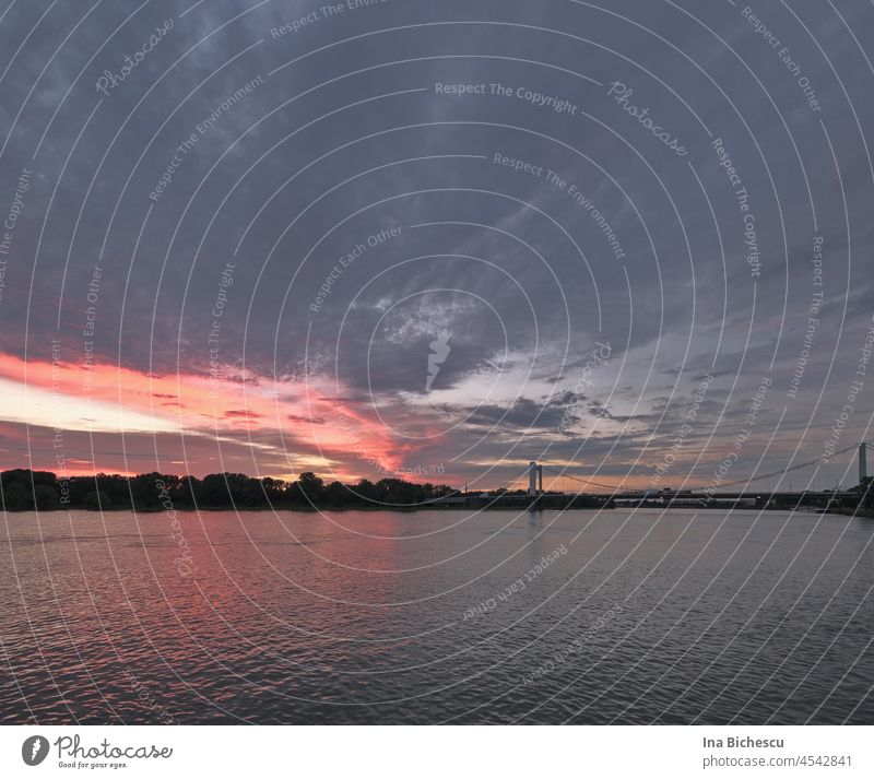 Sonnenuntergang am Rhein in Köln. Die Mülheimer Brücke ist am Horizont sichtbar. Sonnenuntergangshimmel Sonnenuntergangslicht Sonnenuntergangslandschaft