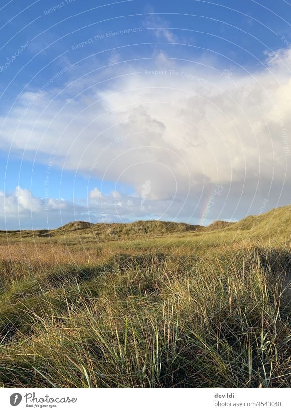 Regenbogen am Strand von St. Peter Ording urlaub Herbst herbstferien Düne Dünengras himmel Küste Landschaft Nordsee Natur Ferien & Urlaub & Reisen Außenaufnahme