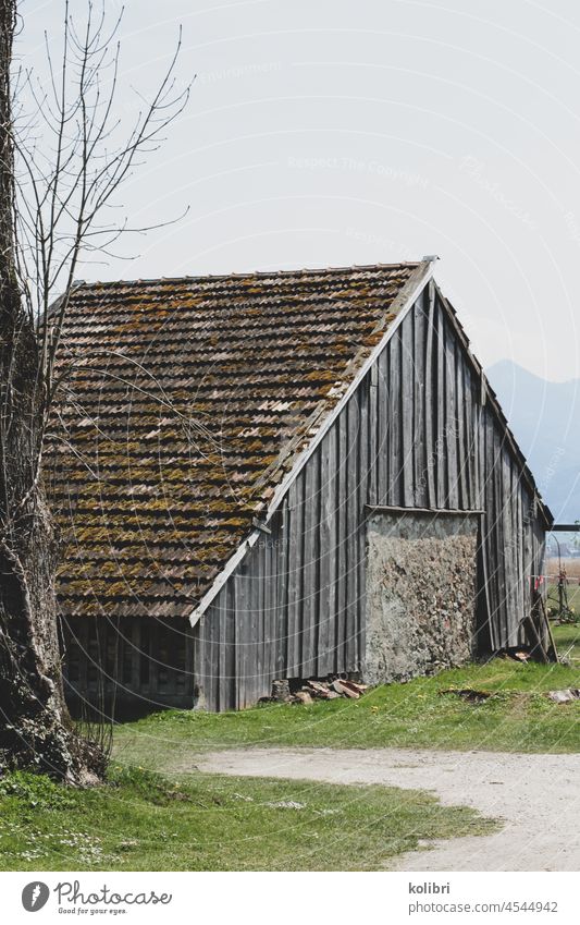 Alte Holzscheune mit zugemauertem Tor, tiefgezogenes bemoostes Dach, daneben ist der Teil eines kahlen Baumes zu sehen, vor der Scheune ein Schotterweg und etwas Gras, im Hintergrund unscharf ein Berg.