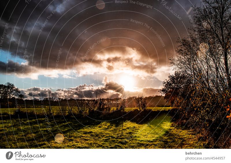 weil das gute siegen muss magisch Magie Zauberwelt Hoffnung Unwetter Sturm Herbstwetter Herbstlandschaft Herbstwald Wolken Regen Sonnenstrahlen