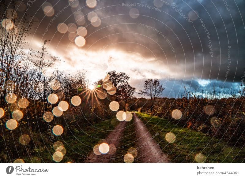 zauberwetter magisch Magie Zauberwelt Hoffnung Unwetter Sturm Wolken Regen Herbstlandschaft Herbstwetter Herbstwald Sonnenstrahlen herbstspaziergang