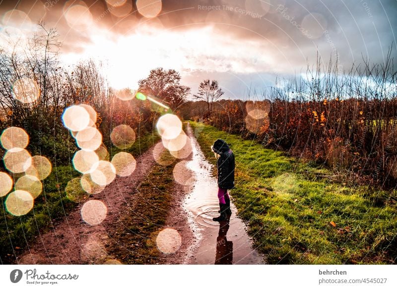 zauberwelt verträumt Märchenhaft geheimnisvoll Wege & Pfade Gegenlicht schön Sonnenlicht fallende Blätter Fußweg Farbfoto Außenaufnahme Licht Kontrast