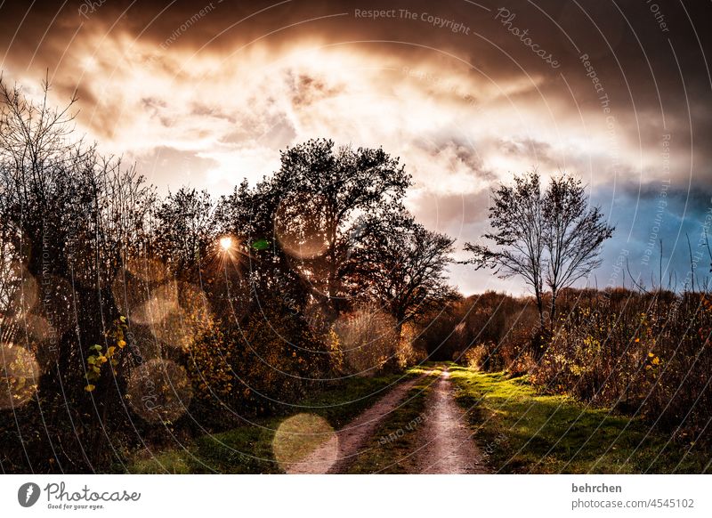 hoffen magisch Magie Zauberwelt Hoffnung Unwetter Sturm Wolken Regen Herbstlandschaft Herbstwetter Herbstwald herbstspaziergang Sonne Herbstfärbung herbstlich