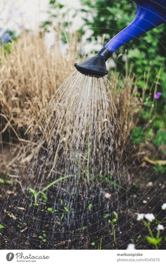 Aussaat Aufzucht – essbarer Garten Selbstversorgung Urban Gardening Ackerbau Biografie Blütezeit züchten Zucht kontrollierte Landwirtschaft