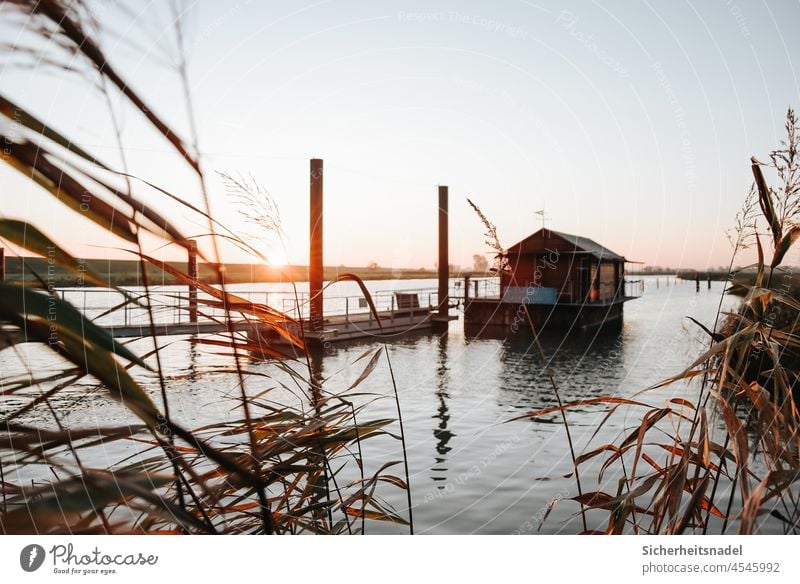 Sonnenaufgang Hafen Steg Fluss Wasserhaus Außenaufnahme Schilf Anlegestelle maritim ruhig