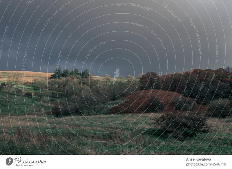 Höhen und Tiefen Landschaft grün englische Natur Gras Bäume Wald fallen Herbst Landschaft auf dem Land Farbfoto Platz für Text Himmel natürlich im Freien Baum